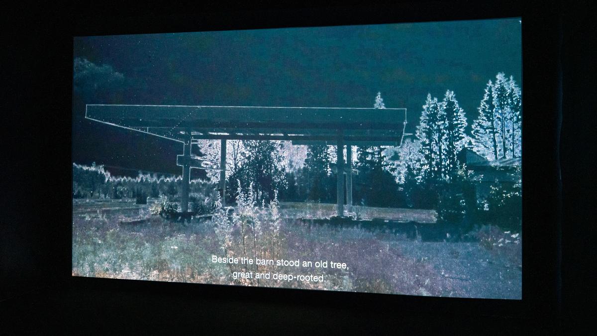 Kuva Olli Valkolan videoteoksesta Saari / Island, 1732-2026 pimeässä huoneessa.